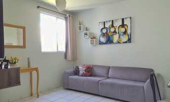 Imagem: JARAGUá DO SUL - Padrão - Água verde