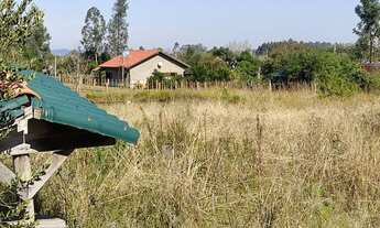 Imagem 4: Chácara 2300m2 com casa rustica e açude, perto 239 em Araricá