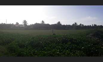 Imagem: Quadra próxima ao Chico do Caranguejo do