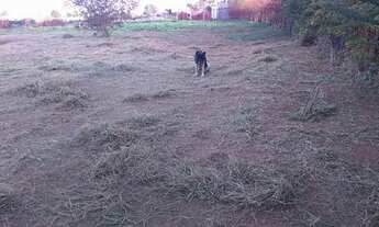 Imagem 6: Terreno em condomínio fechado com 10.000 m2 área plana no bairro Indaiatuba - Porto Feliz