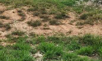 Imagem 2: Casa de condomínio para venda possui 525 metros quadrados em Cambarah - Jarinu - SP