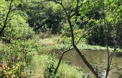 Imagem 5: LONDRINA - Chácara - 3 BOCAS