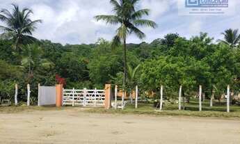 Imagem: Ilhéus - Fazenda - Iguape