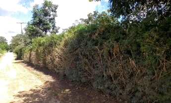 Imagem 4: FAZENDA RIO GRANDE - Loteamento/Condomínio - EUCALIPTOS