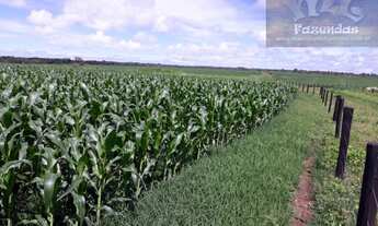 Imagem 7: Fazenda em Porangatu GO - 501 alqs (2.424,84 Ha