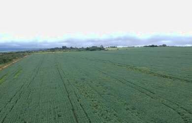 Imagem 6: Vendo em Planaltina GO