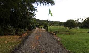 Imagem 2: SÍTIO no VILA NOVA com 3 quartos para VENDA, 75000 m²