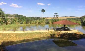 Imagem: Oportunidade! Excelente haras!