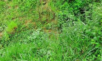 Imagem 7: Sítio para Venda, Silvas