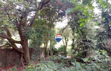 Imagem 6: Chácara com 4 dormitórios à venda, 12000 m² por R$ 290.000,00 - Grama - Juiz de Fora/MG