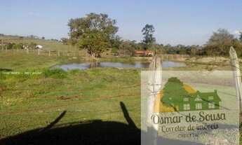 Imagem 7: Sítio para venda em Pereiras possui 03 alqueires