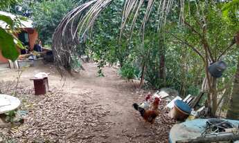 Imagem 6: Fazenda/Sítio/Chácara para venda possui 5000 metros quadrados com 2 quartos