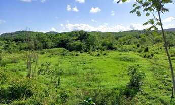 Imagem 7: Sítio 3 alqueires Pasto ( Willian Ricardo