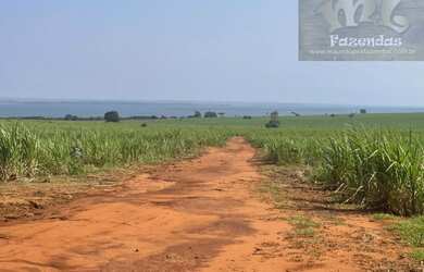 Imagem 4: Fazenda na Região de Presidente Epitácio / SP. 697 alqs