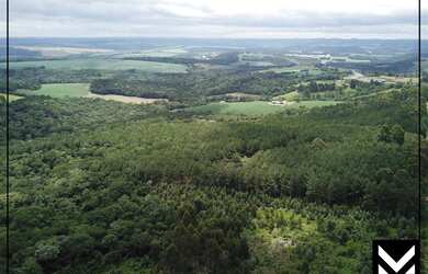 Imagem 5: Área no Pinheirinhos com 31,36 hectare