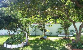 Imagem 7: Porto Alegre - Casa Padrão - Cavalhada