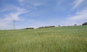 Imagem: Lapa - 191 hectares - Alta Produtividade