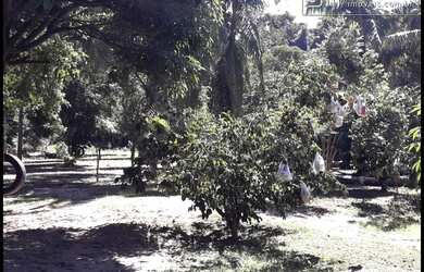 Imagem 6: CHÁCARA PLANA LAZER/MORADIA  PROX. À CACHOEIRA  LAGOINHA  SP