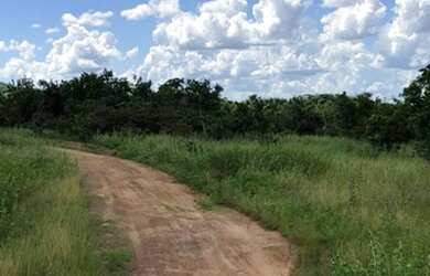 Imagem 7: Excelente Fazenda - Itapirapuã