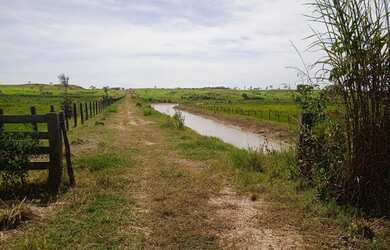Imagem 5: Fazenda no vale do araguaia