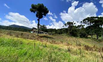 Imagem 4: Área Rural com 22,00ha de área total, para venda. Santa Tereza, Urubici (SC