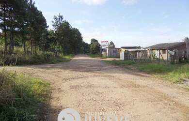 Imagem 6: IMOBILIARIA JUVEVÊ VENDE TERRENO EM PIRAQUARA, RUA FRANCISCO MUTI S//N