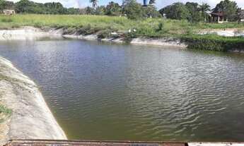 Imagem 6: Granja com 15 hectares na região de vera cruz estruturada