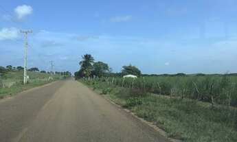 Imagem 3: Área pipa Sibauma plana limpa e com bom potencial de desmembramento