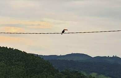 Imagem 7: Terreno Bom Jesus dos Perdões 385 m2