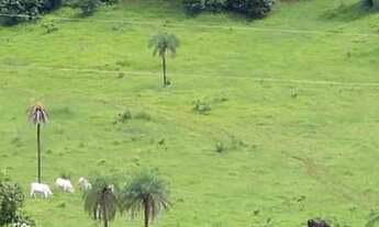 Imagem 3: Vende-se uma bela chácara de 1 Alqueiro