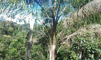 Imagem 4: Terreno à venda, 40000 m² por R$ 250.000,00 - Jardim Verona - Ribeirão das Neves/MG