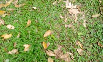 Imagem 3: Vendo lote no Tarumã