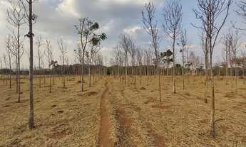 Imagem 6: Chácara para venda, exelente para incorporação, com 55875m² próximo ao Campus da UFG - Goi