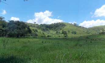 Imagem 5: FAZENDA ÀS MARGENS DA BR 393 - VASSOURAS - 23,8 ALQ. MINEIROS