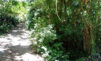 Imagem: Porto Alegre - Casa Padrão - Ponta Grossa