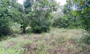 Imagem 6: TERRENOCamaçari