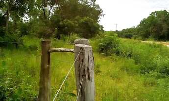 Imagem 2: CHÁCARA COXIM PRÓX AO RIO TAQUARI
