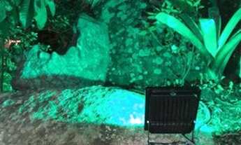 Imagem 4: Casa para aluguel tem 300 metros quadrados com 5 quartos em Daniela - Florianópolis - Sant