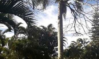 Imagem 7: Belíssima chácara a venda, lugar dos sonhos. Próxima a cidade