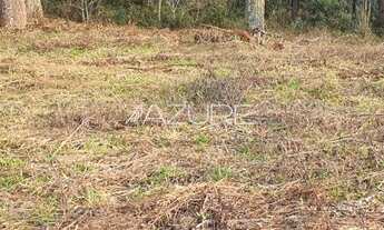 Imagem 6: PIRAQUARA - Terreno Padrão - Volteio