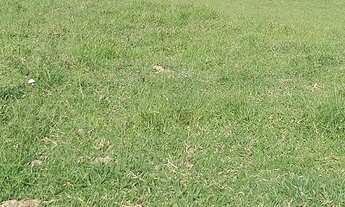 Imagem: Sítio Estância Hidromineral de Amparo/SP/BR