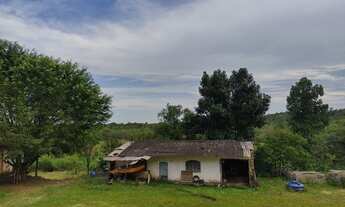 Imagem 5: Sítio 20 alqueires Plano ( Willian Ricardo