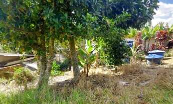 Imagem: Terreno em Ipelandia