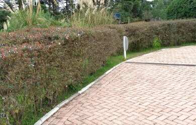 Imagem 6: Terreno para Venda em Campos do Jordão, Jardim das Perolas