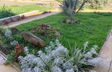 Imagem 4: Casa - Swiss Park - Campinas