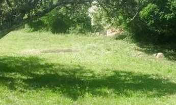 Imagem 2: Terreno em Restinga