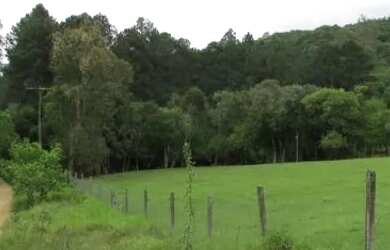 Imagem 4: Sítio para Venda - 30000m², 3 dormitórios, sendo 1 suites, Lageado