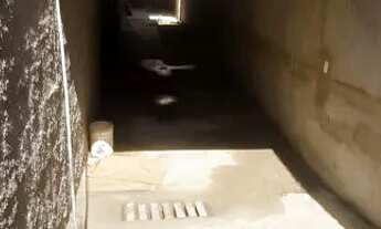 Imagem 4: OPORTUNIDADE!!! Casa com 3 dormitórios