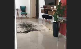 Imagem 4: Casa - Cidade Universitária - Campinas