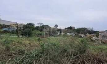 Imagem 3: Terreno para Venda - 0m², 0 dormitórios, Campo Novo